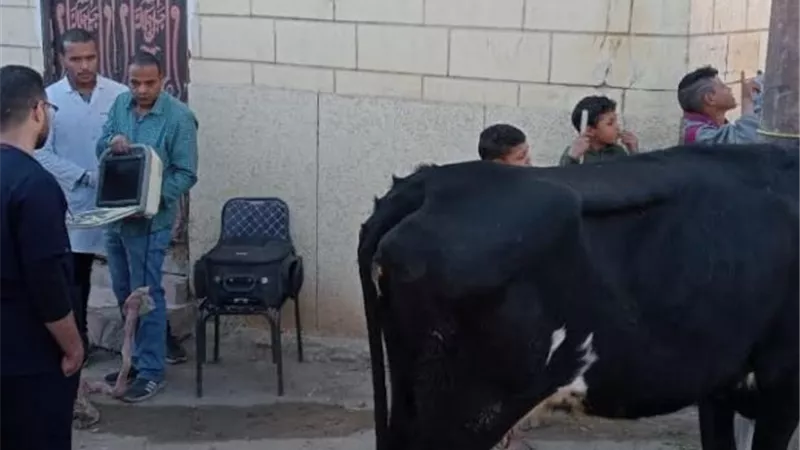 جامعة جنوب الوادى تنظم قافلة شاملة لقرية الغوصة بقنا