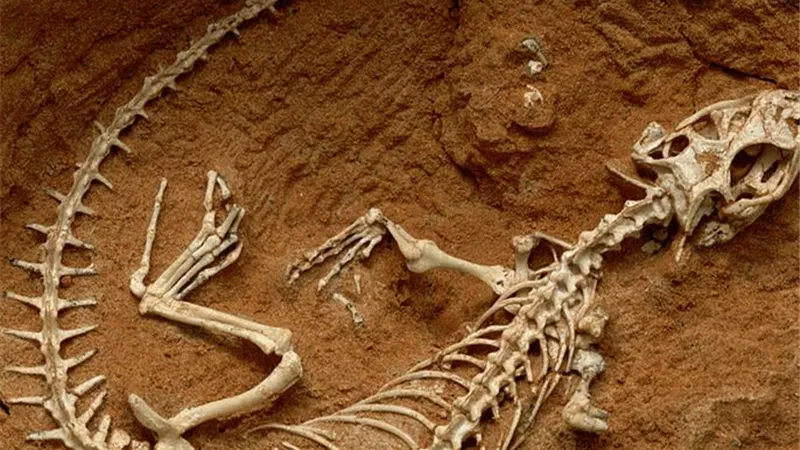 اكتشاف رفات حيوان زاحف عمره 100 مليون عام في أستراليا