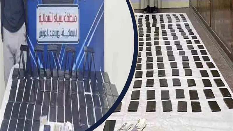 100 تربة حشيش في الاسماعيلية