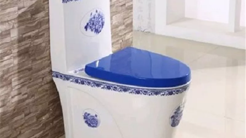 علماء يكشفون أهمية إغلاق مقعد المرحاض