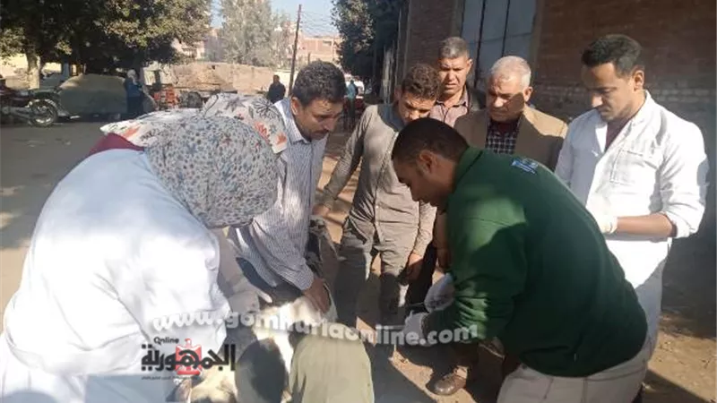 جامعة السادات تطلق قافلة بيطرية وزراعية بقرية بنى غريان بالمنوفية