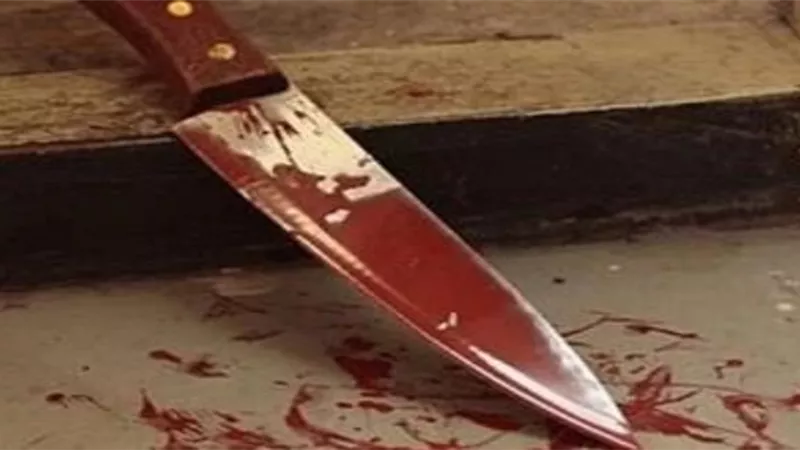 القبض على شاب ينهي حياة والده ووالدته وشقيقه بكفر الشيخ