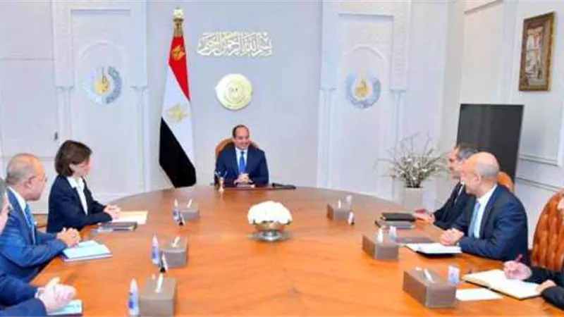 الرئيس السيسي يستقبل المدير التنفيذي لـ