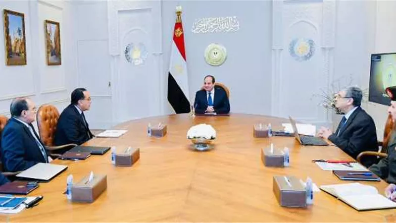 السيسي يوجه بالإسراع في استكمال التغذيةالكهربائيةلـ