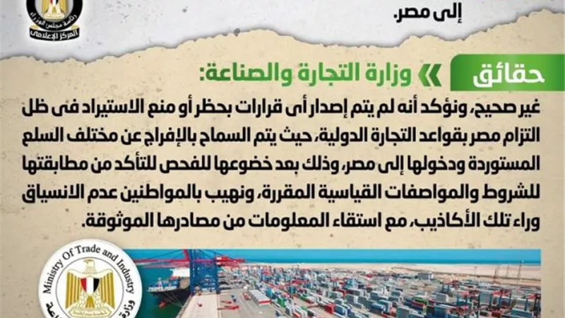 الحكومة تنفى إصدار قرار بحظر دخول بعض واردات السلع إلى مصر