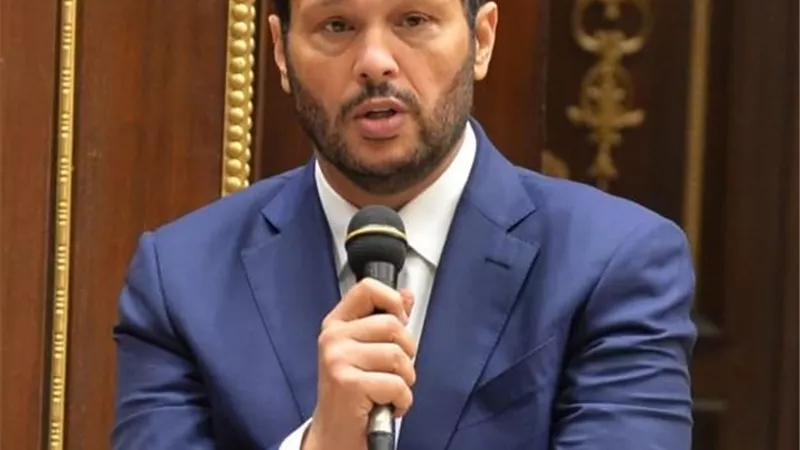 محمد حلاوة: نناقش تعميق الصناعة والإصلاح الاقتصادى والتنمية وزيادة الصادرات