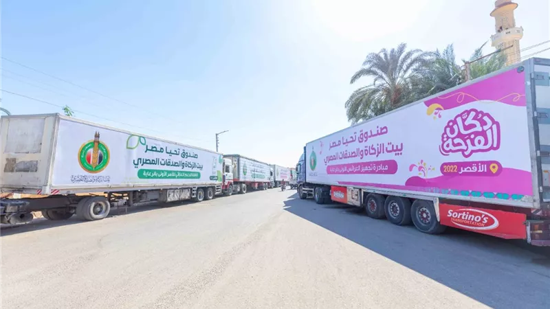 صندوق تحيا مصر وبيت الزكاة ينظمان قافلة حماية اجتماعية بالأقصر