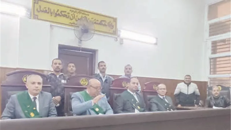 جنابات المنيا.. المؤبد لـ 