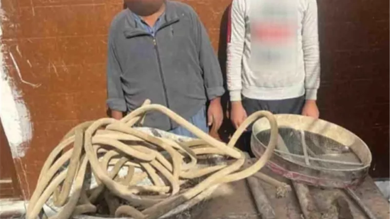 ضبط عامل ونجله ينقبان عن الآثار بالقاهرة