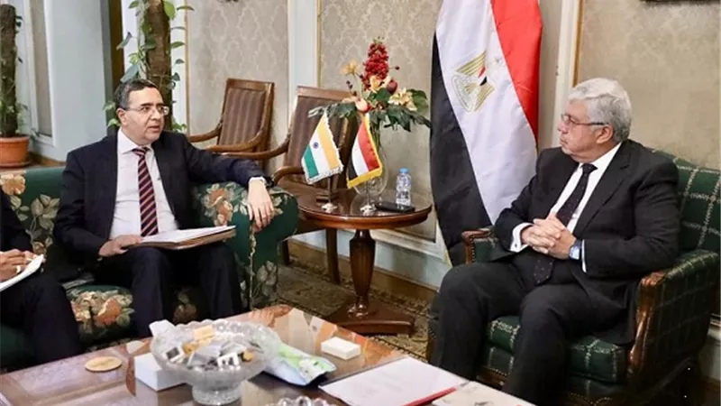 ايمن عاشور يبحث دعم التعاون العلمى والتكنولوجى المشترك مع الهند