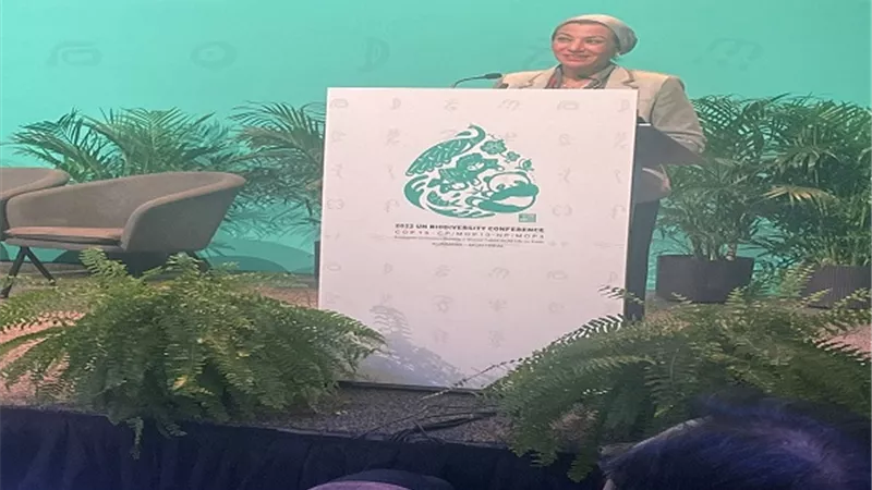 ياسمين فؤاد: وكالات الأمم المتحدة لها دور قوي في دعم الدول النامية