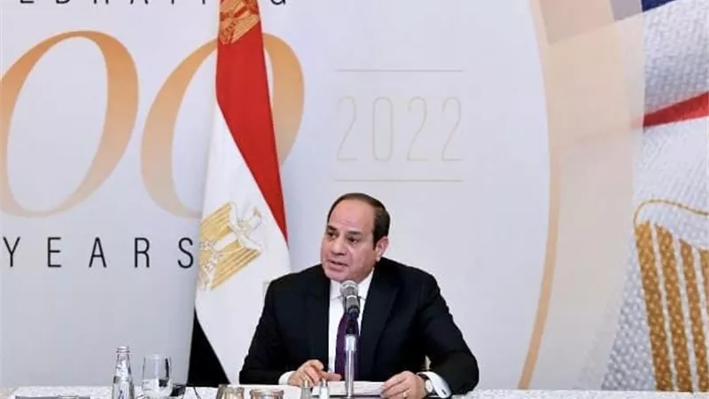 الرئيس السيسى يوجه الشكر للجالية المصرية بأمريكا