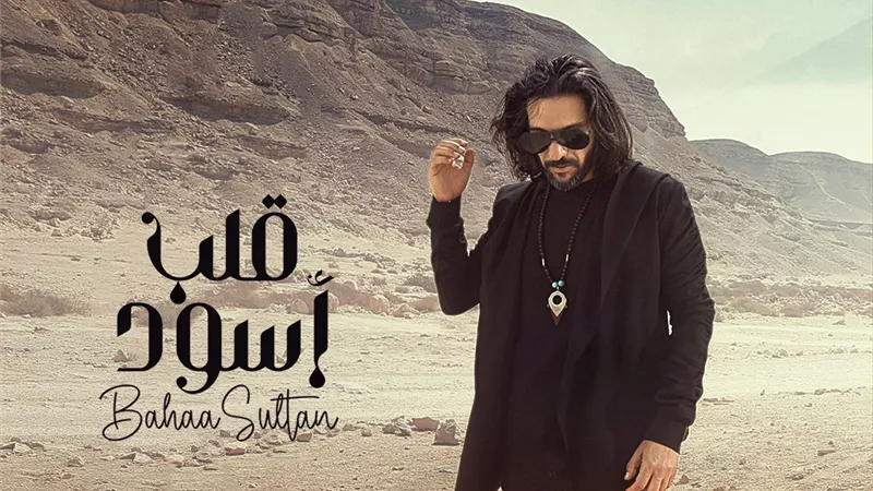 بهاء سلطان والليثى وبوسى ورابح صقر نجوم هذا الشهر
