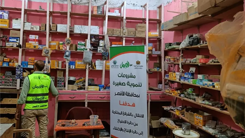تضامن الأقصر تعلن عن تنفيذ عدد 5271 مشروع تمكين اقتصادى