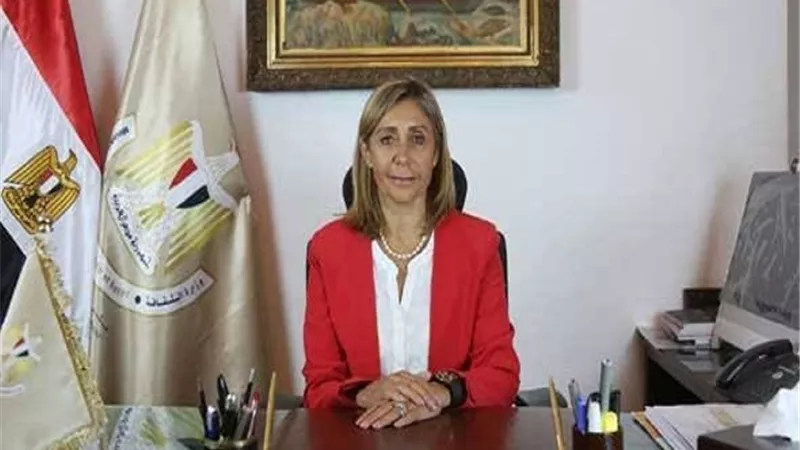 السينما في الجامعة يبدأ بالمنصورة