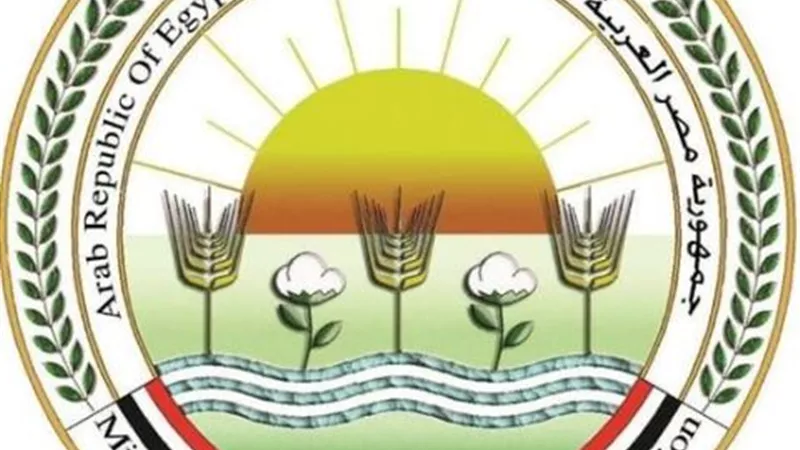 وزير الزراعة: الإفراج عن 145 ألف طن أعلاف