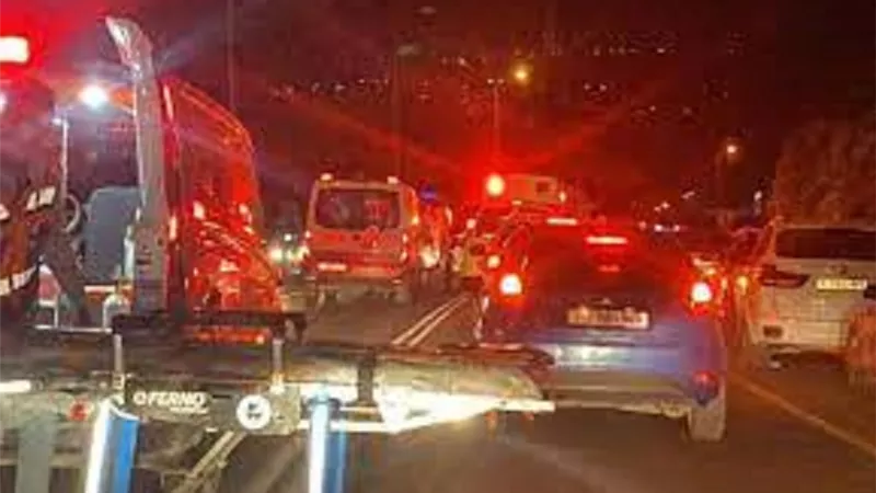 استشهاد شقيقين فلسطينيين بعد دهس مستوطن لهما فى نابلس