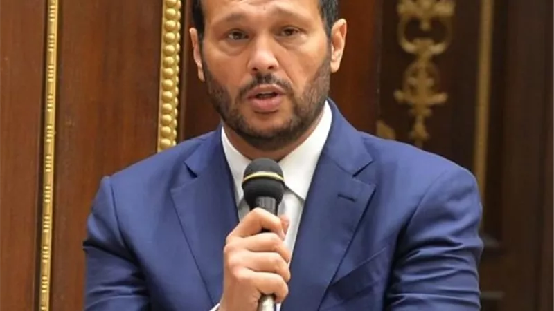محمد حلاوة: تطوير قطاع الأعمال يستلزم تضافر الجهود لتعميق التصنيع وتوطين التكنولوجيا