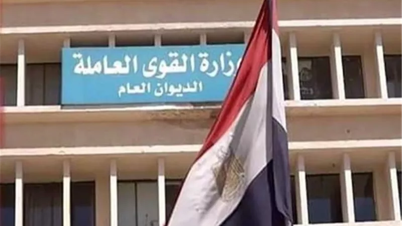 القوى العاملة توفر 135 شاب وفتاة فرص عمل في ملتقى توظيف بأسيوط