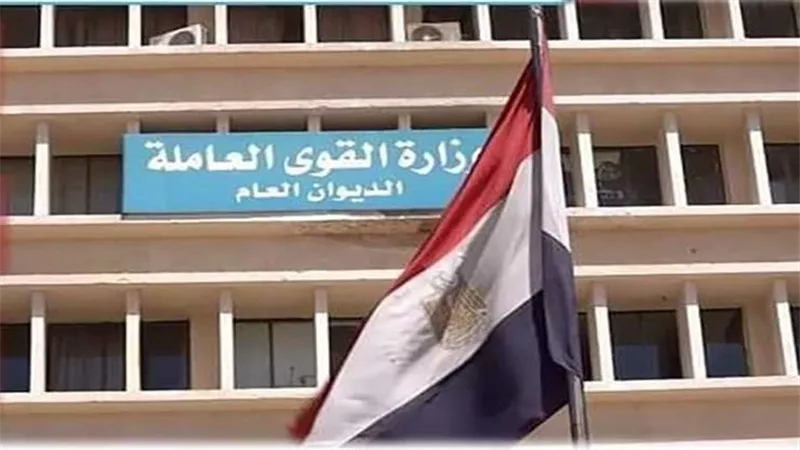 حصاد القوى العاملة في 2022.. الوزارة ذراع العامل في كل القطاعات