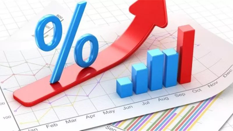خبيرة: هدف لجنة السياسات النقدية من رفع الفائدة هو استقرار الأسعار
