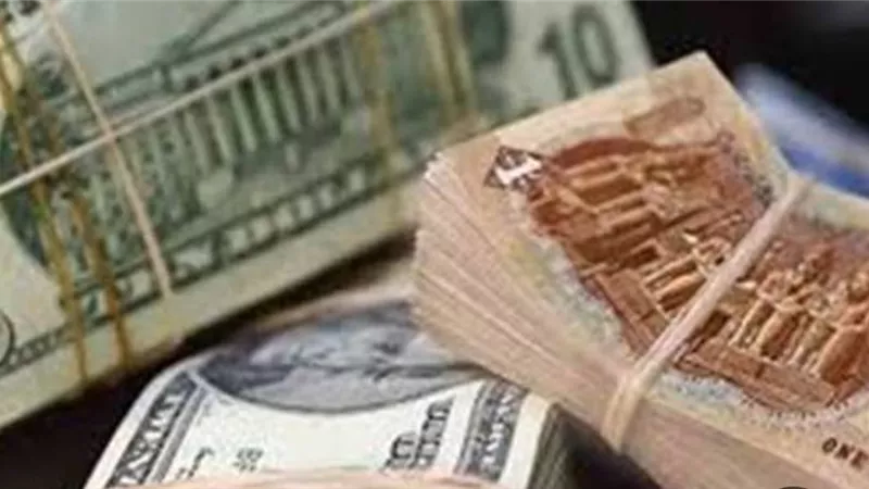 عيد: قرار المركزي يستهدف جذب مزيد من الاستثمارات الأجنبية مستقبلا