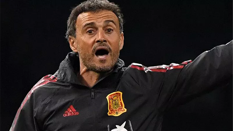 تشيلسي يفاوض إنريكي بعد رحيله عن منتخب أسبانيا
