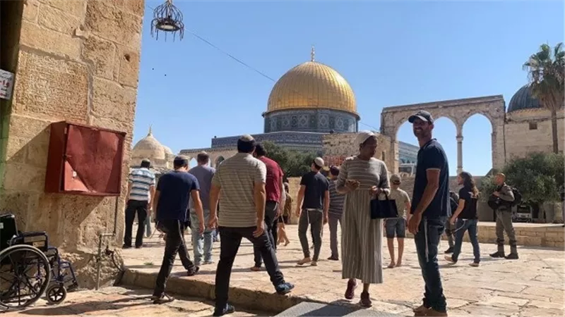 إصابة عشرات الفلسطينيين خلال مواجهات مع الاحتلال فى نابلس وقلقيلية