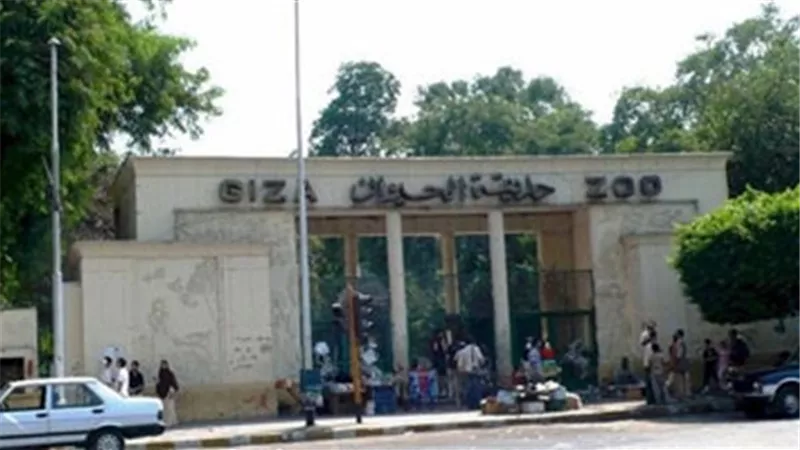 شركة الإنتاج الحربي تكشف خطة تطوير حديقة الحيوان بالجيزة والأورمان