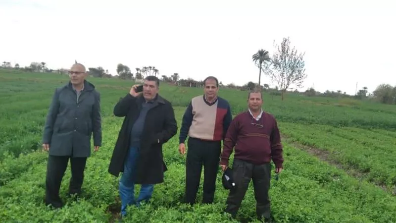 جولة لمتابعة الحقول الإرشادية لمحصول القمح وحقول الترشيد بمغاغة