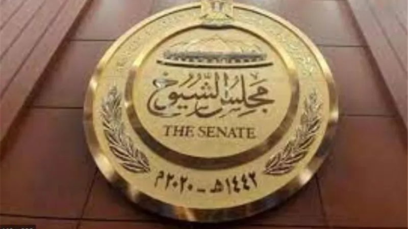 مجلس الشيوخ يوافق نهائيا على مشروع قانون مصر الرقمية