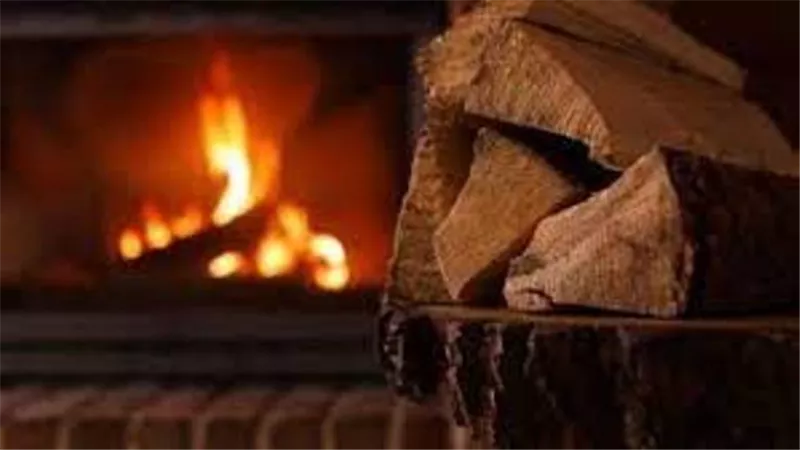 فرنسا تدعم التدفئة بالخشب بـ245 مليون دولار