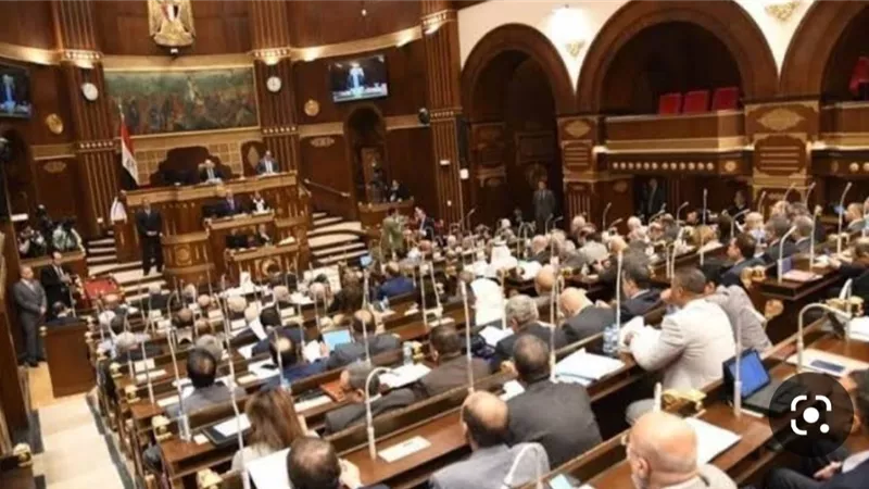 رئيس التنظيم والإدارة يستعرض أمام الشيوخ خطة الإصلاح الإداري