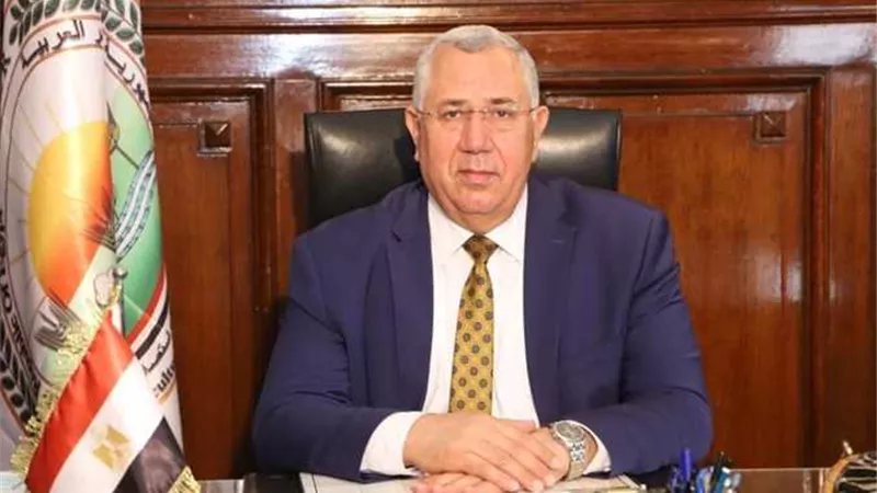 الزراعة :الإفراج شمل 146 ألف طن من الذرة بحوالي 58.4 مليون دولار
