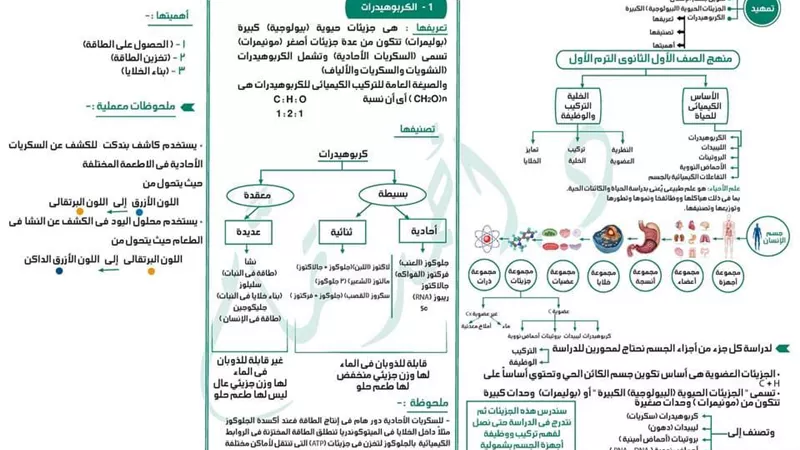 لطلاب الصف الأول الثانوي.. مراجعة شاملة للأحياء في 10 ورقات