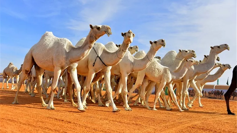 تعرف على الفرق بين 