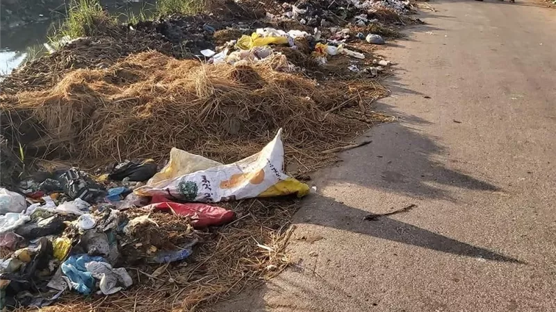 محافظ كفرالشيخ يكلف رئيس المدينة برفع أكوام القمامة