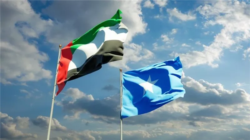 الصومال والإمارات يبحثان سبل تعزيز التعاون الثنائي