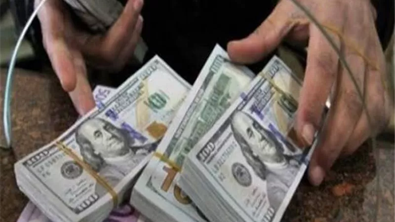 السمدوني:البنوك ترفض قبول الدفعات الدولارية من شركات الشحن دون مبرر