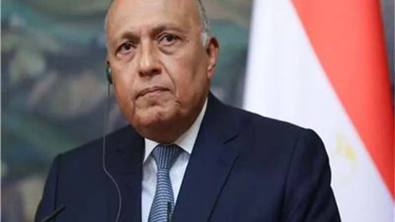 شكري يرأس اجتماع مجلس إدارة الوكالة المصرية للشراكة من أجل التنمية
