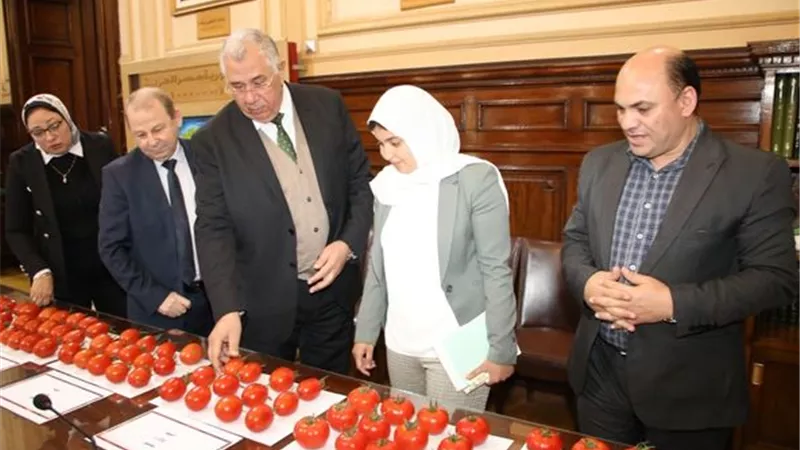 الزراعة:توفير مستلزمات الإنتاج لجميع المحاصيل ببرنامج تقاوي الخضر