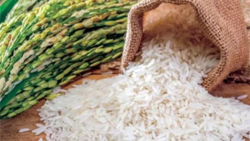 تموين البحيرة تضبط 80 طن ارز شعير داخل احد المخازن بالدلنجات