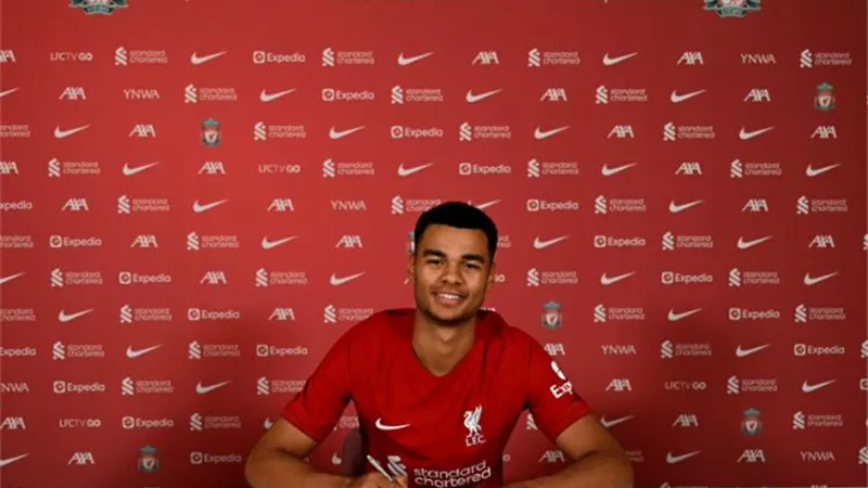يرتدى القميص رقم 18 .. ليفربول يعلن تعاقده مع نجم آيندهوفن الهولندى