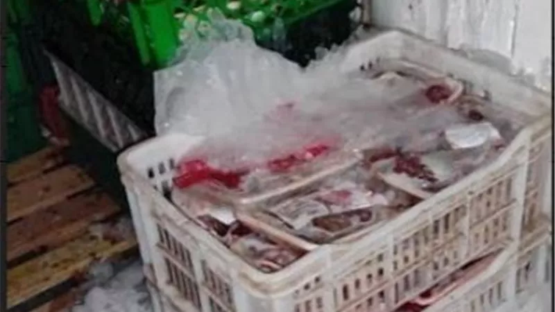 :ضبط 2 طن لحوم غير صالحة للاستهلاك الآدمي بالمنوفية