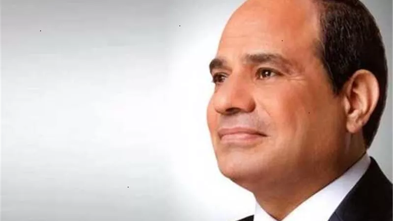السيسى.. يصون الأسرة المصرية