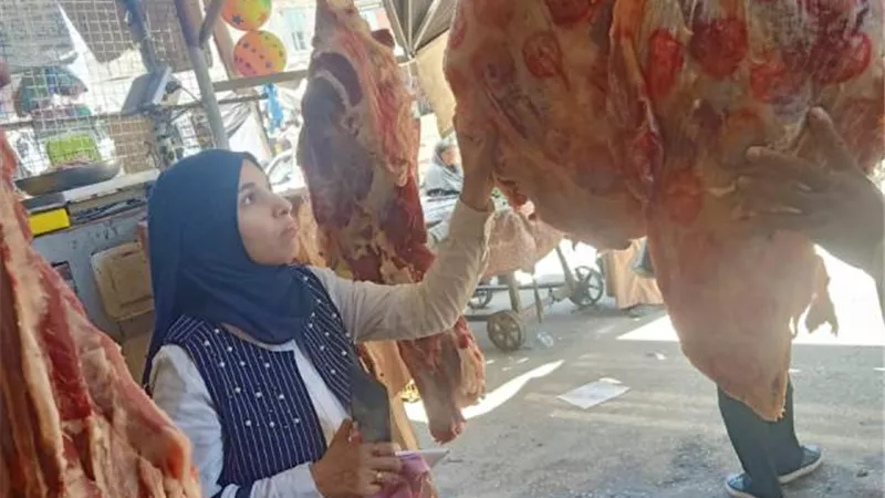 ضبط طن ونصف لحوم غير صالحه للاستهلاك الادمي بأسوان