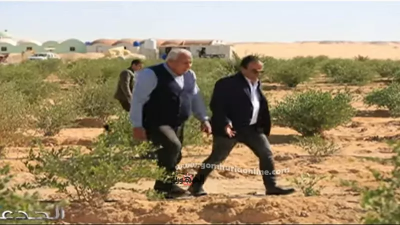 فيديو.. خبير : 2 طن زيادة إنتاجية فدان الجوجوبا في مصر