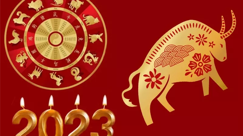 الابراج الصينية ..حظ برج الثور 2023