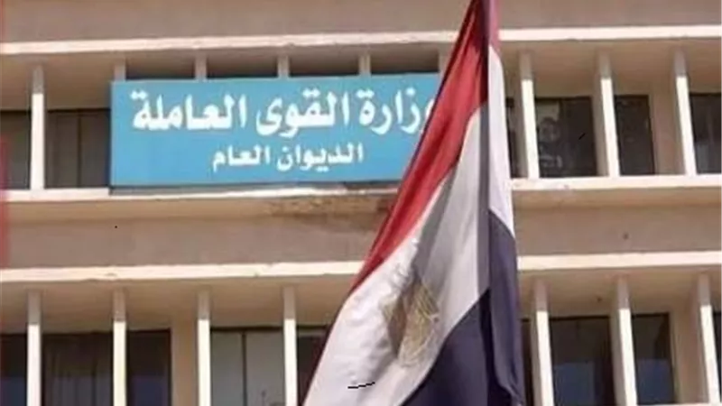 القوى العاملة:تأشيرات عودة لعمال مصريين انتهت إقامتهم في السعودية