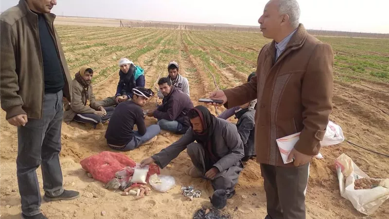 لجنة الزراعة تتفقد زراعات القمح والفول البلدي بمركز ملوي